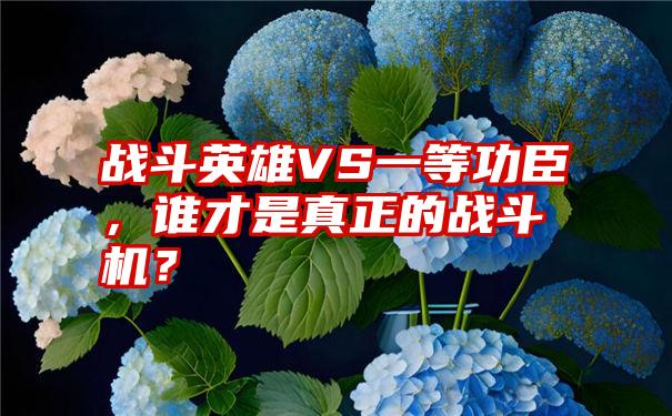 战斗英雄VS一等功臣，谁才是真正的战斗机？