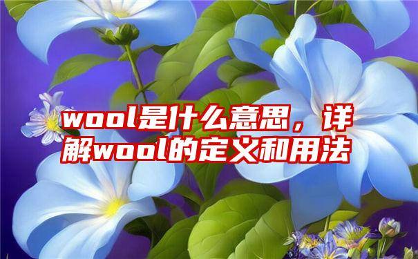 wool是什么意思，详解wool的定义和用法