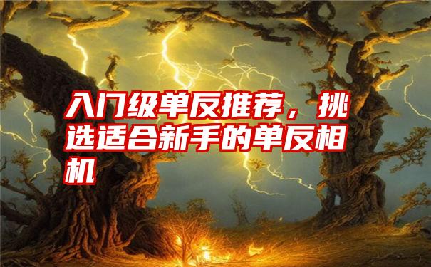 入门级单反推荐，挑选适合新手的单反相机