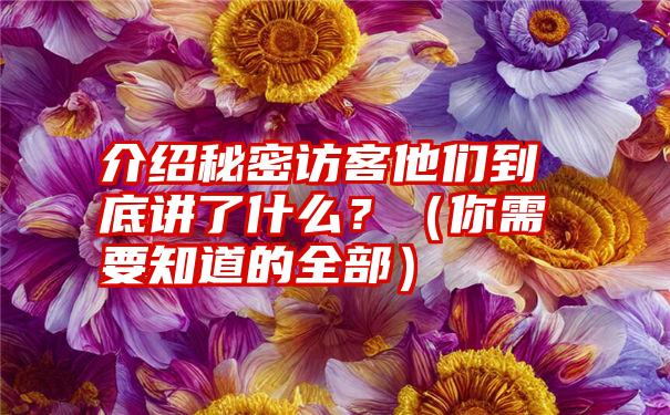 介绍秘密访客他们到底讲了什么？（你需要知道的全部）