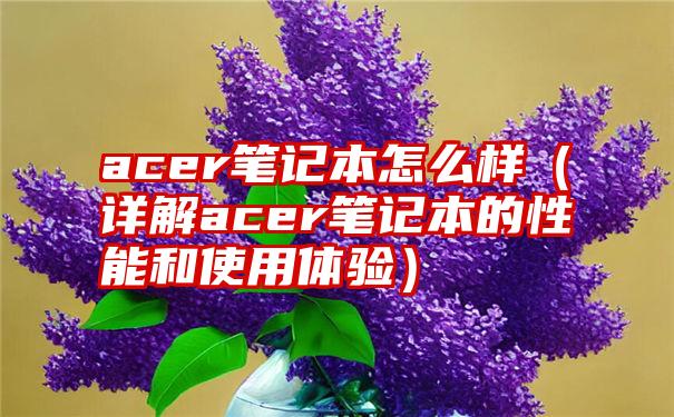 acer笔记本怎么样（详解acer笔记本的性能和使用体验）