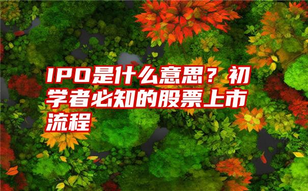 IPO是什么意思？初学者必知的股票上市流程