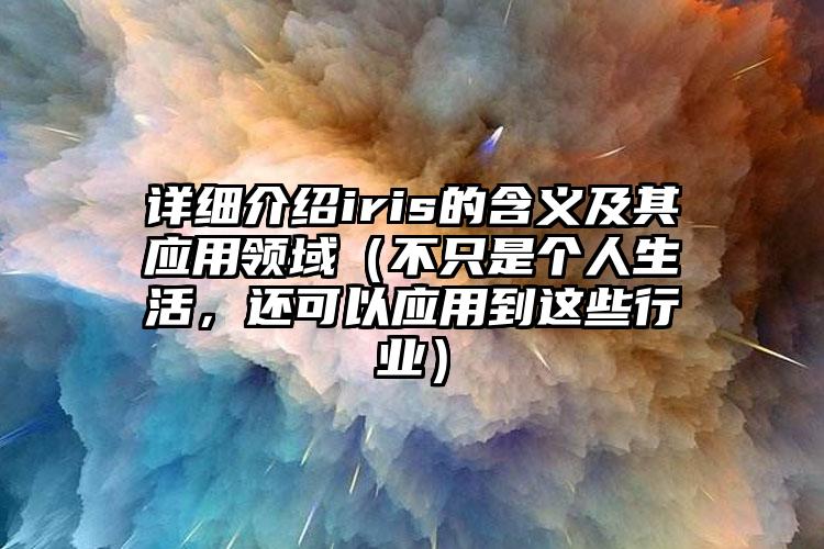 详细介绍iris的含义及其应用领域（不只是个人生活，还可以应用到这些行业）