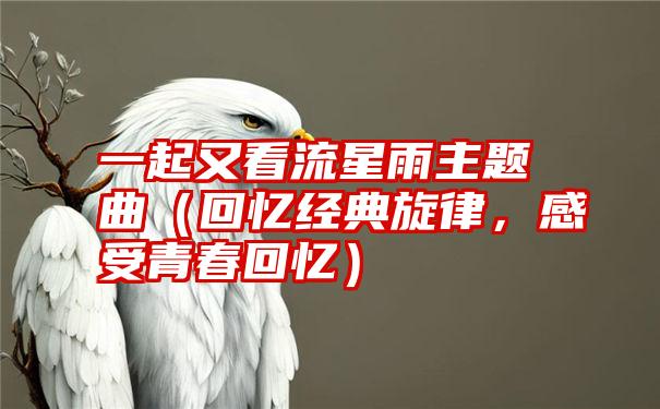 一起又看流星雨主题曲（回忆经典旋律，感受青春回忆）