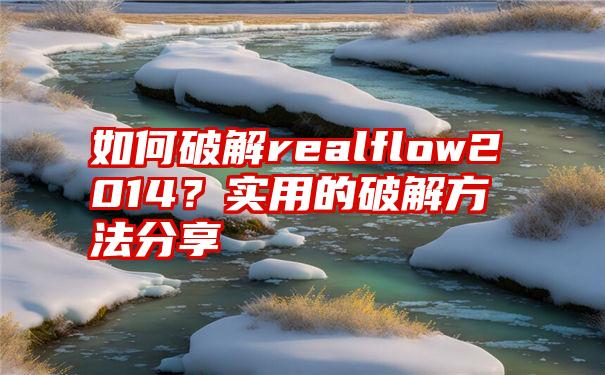 如何破解realflow2014？实用的破解方法分享