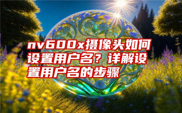 nv600x摄像头如何设置用户名？详解设置用户名的步骤