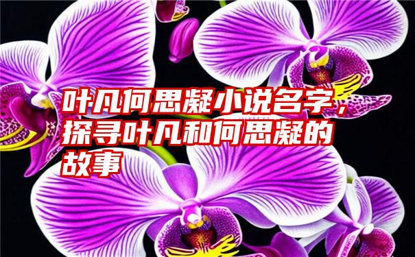 叶凡何思凝小说名字，探寻叶凡和何思凝的故事