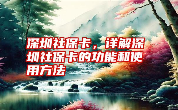 深圳社保卡，详解深圳社保卡的功能和使用方法