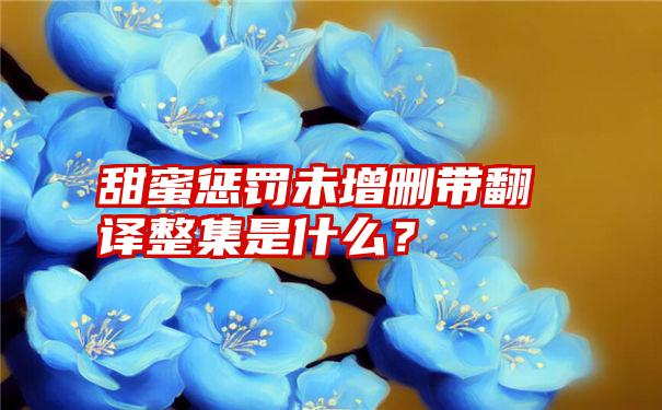 甜蜜惩罚未增删带翻译整集是什么？