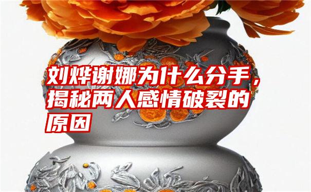 刘烨谢娜为什么分手，揭秘两人感情破裂的原因