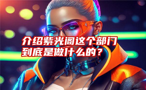 介绍紫光阁这个部门到底是做什么的？