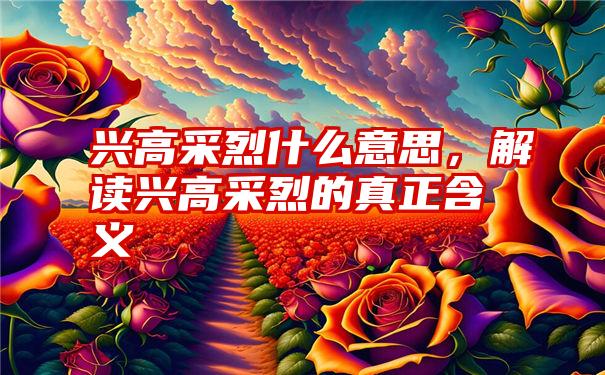 兴高采烈什么意思，解读兴高采烈的真正含义