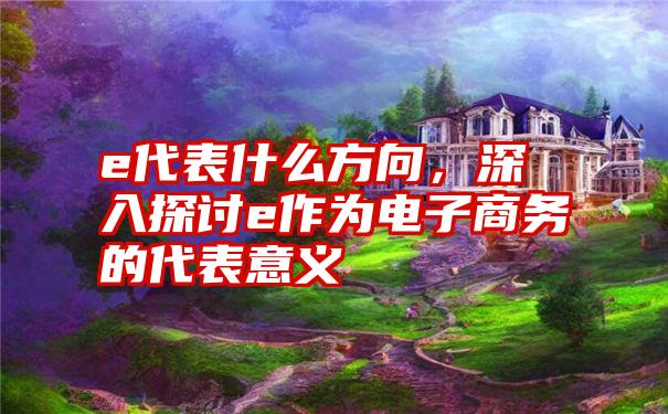 e代表什么方向，深入探讨e作为电子商务的代表意义