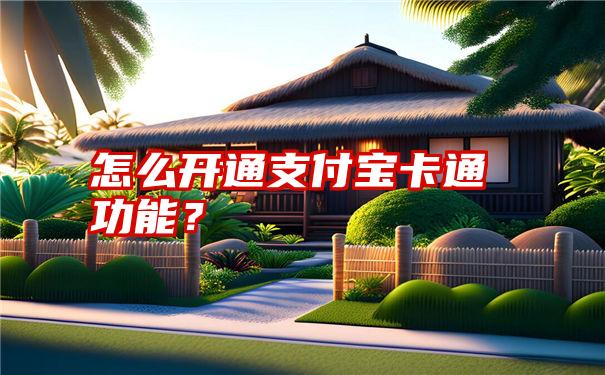 怎么开通支付宝卡通功能？