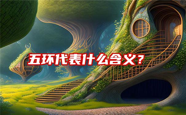 五环代表什么含义？