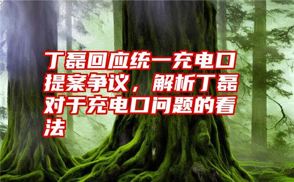 丁磊回应统一充电口提案争议，解析丁磊对于充电口问题的看法