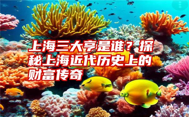 上海三大亨是谁？探秘上海近代历史上的财富传奇