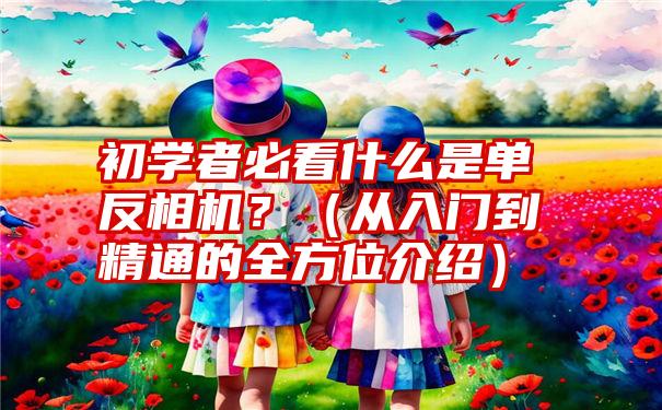 初学者必看什么是单反相机？（从入门到精通的全方位介绍）