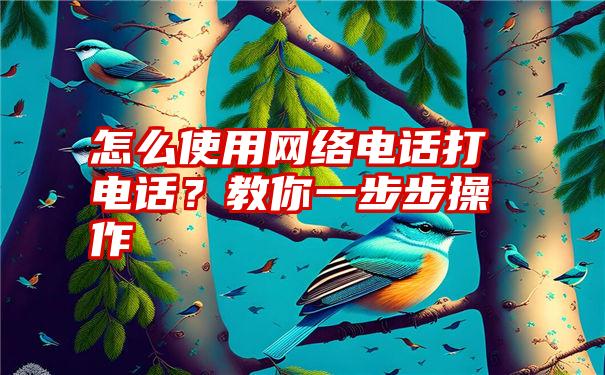 怎么使用网络电话打电话？教你一步步操作