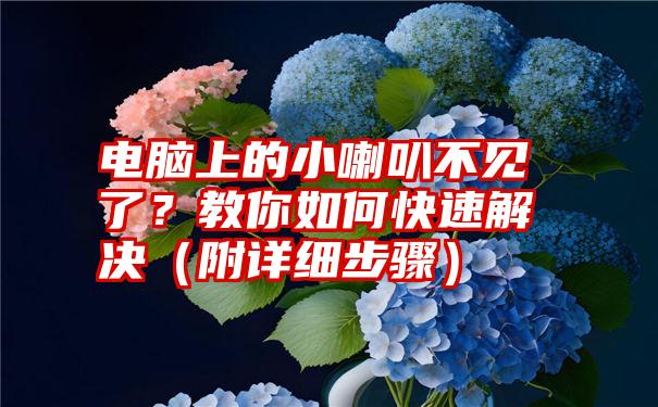 电脑上的小喇叭不见了？教你如何快速解决（附详细步骤）