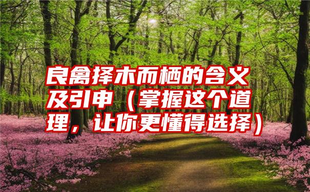 良禽择木而栖的含义及引申（掌握这个道理，让你更懂得选择）