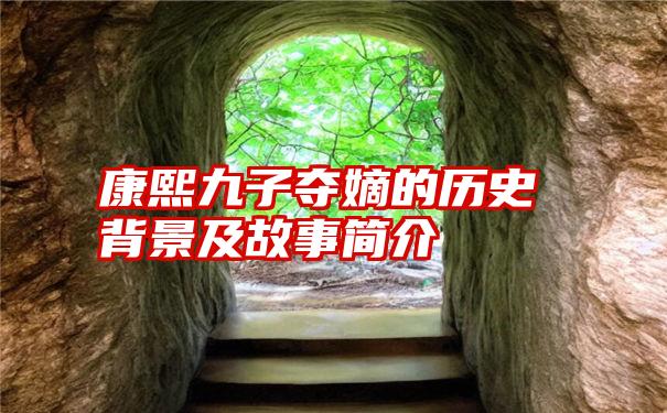 康熙九子夺嫡的历史背景及故事简介