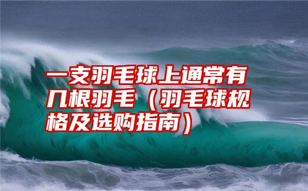 一支羽毛球上通常有几根羽毛（羽毛球规格及选购指南）