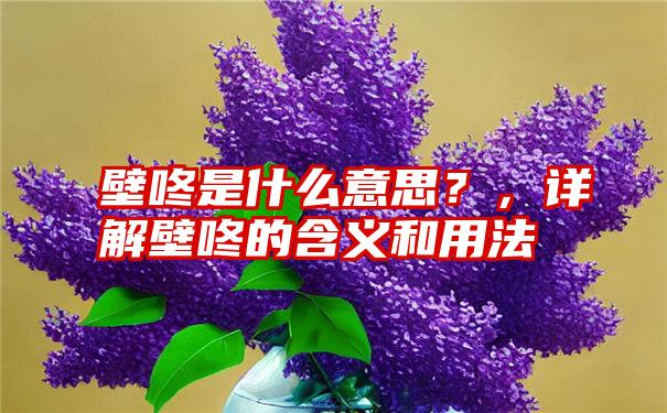 壁咚是什么意思？，详解壁咚的含义和用法