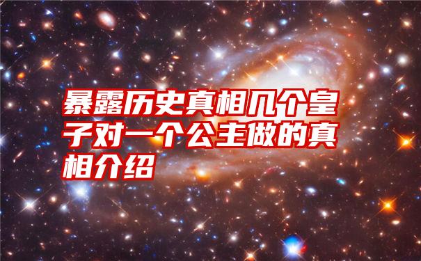 暴露历史真相几个皇子对一个公主做的真相介绍