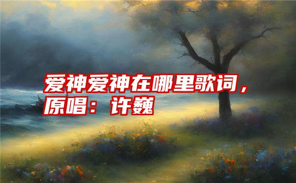 爱神爱神在哪里歌词，原唱：许巍