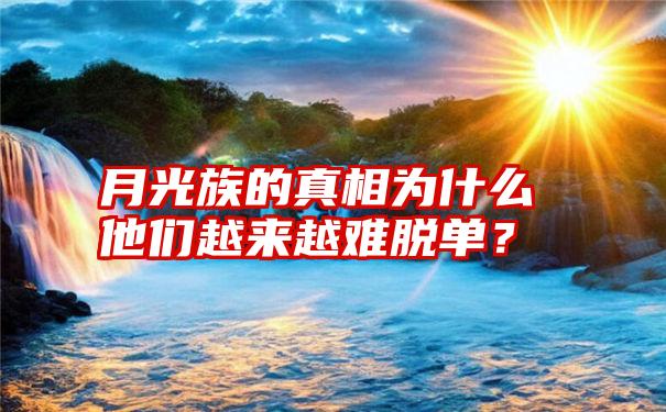 月光族的真相为什么他们越来越难脱单？