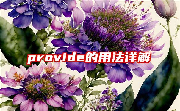 provide的用法详解