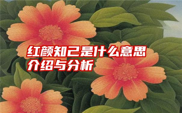 红颜知己是什么意思介绍与分析