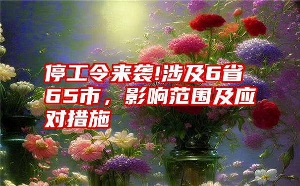 停工令来袭!涉及6省65市，影响范围及应对措施