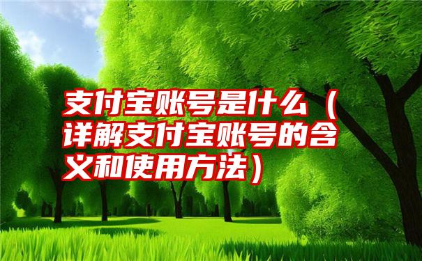 支付宝账号是什么（详解支付宝账号的含义和使用方法）