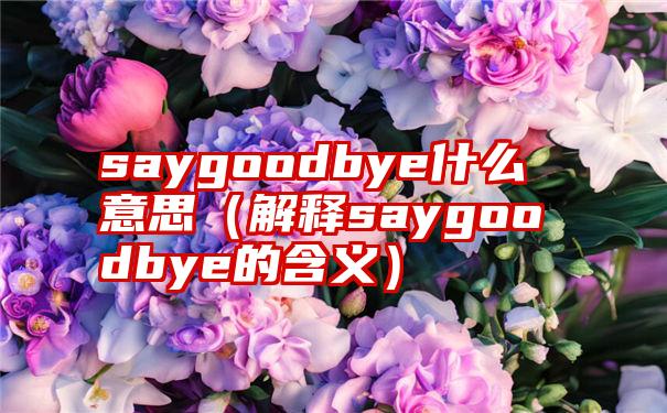 saygoodbye什么意思（解释saygoodbye的含义）