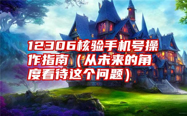 12306核验手机号操作指南（从未来的角度看待这个问题）