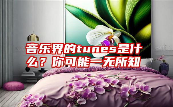 音乐界的tunes是什么？你可能一无所知