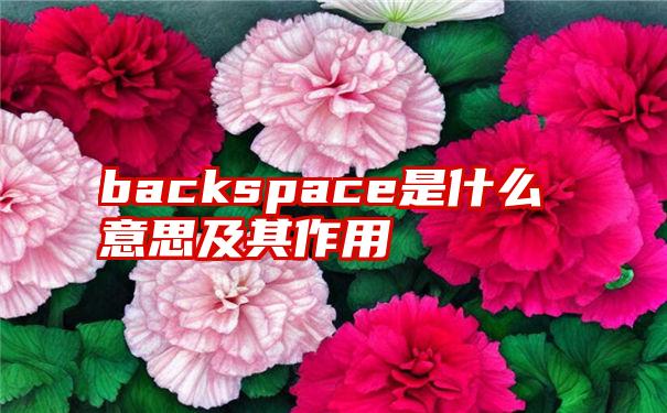 backspace是什么意思及其作用