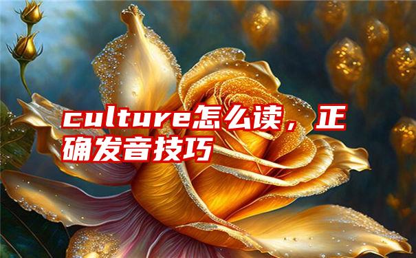 culture怎么读，正确发音技巧