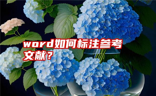 word如何标注参考文献？