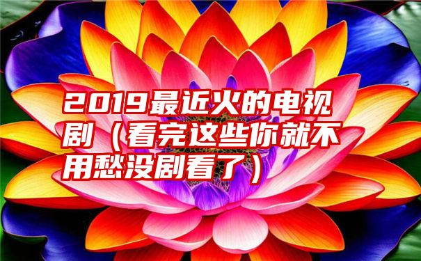 2019最近火的电视剧（看完这些你就不用愁没剧看了）