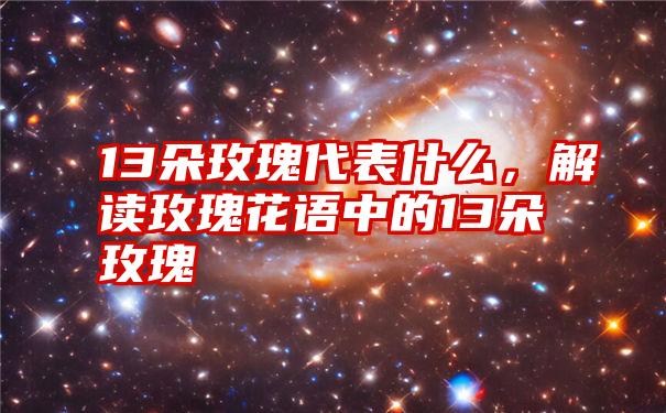 13朵玫瑰代表什么，解读玫瑰花语中的13朵玫瑰