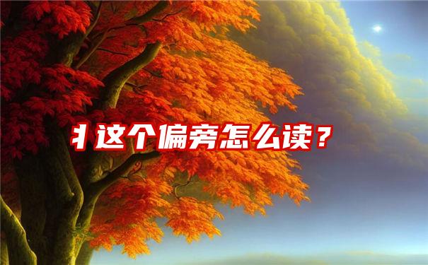 丬这个偏旁怎么读？