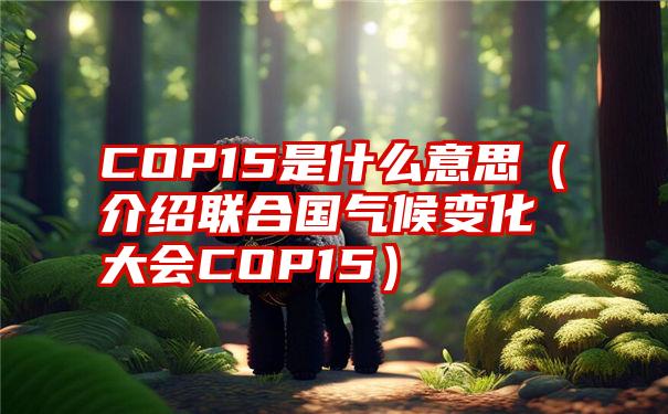 COP15是什么意思（介绍联合国气候变化大会COP15）