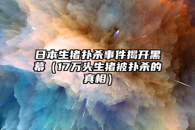 日本生猪扑杀事件揭开黑幕（17万头生猪被扑杀的真相）