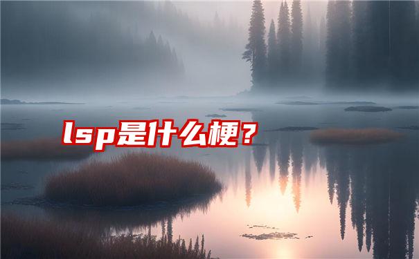 lsp是什么梗？