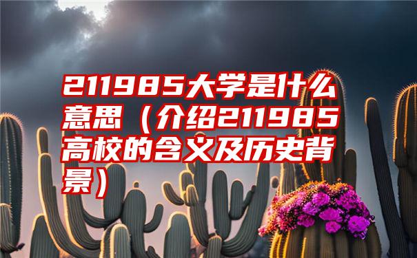 211985大学是什么意思（介绍211985高校的含义及历史背景）