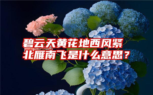 碧云天黄花地西风紧北雁南飞是什么意思？