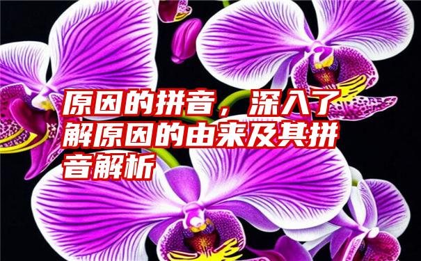 原因的拼音，深入了解原因的由来及其拼音解析